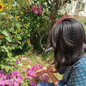 Ujjwal Choudhary logo