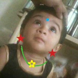 VISHWAS Gangawane logo