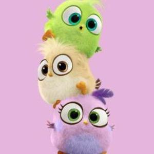 preeti vijayanagaram logo