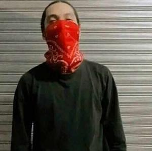 EthanLee Gonzaless logo