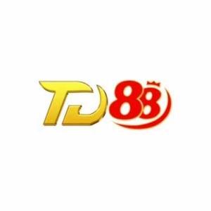 TD888 ORG logo