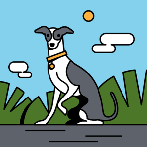 Saniya Yesankar logo