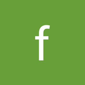 frozen dreams logo