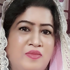 naseem siddiqui logo