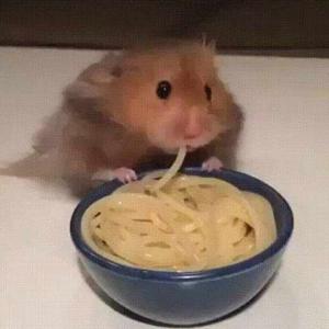 Lillian Livingston logo