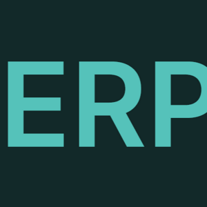 ERP Software logo