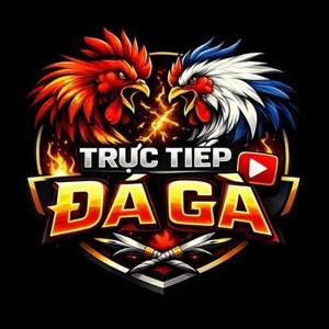 Trực Tiếp Đá Gà logo