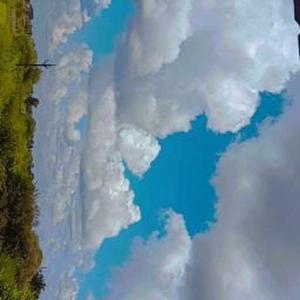 Divyanshi Pandit logo