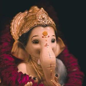 Sagarika Pothireddy logo