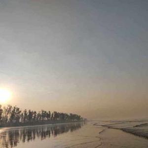 Shwetashalini Singh logo