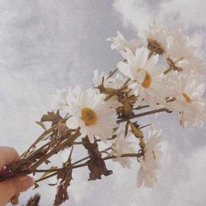 Varunika Srivastava logo