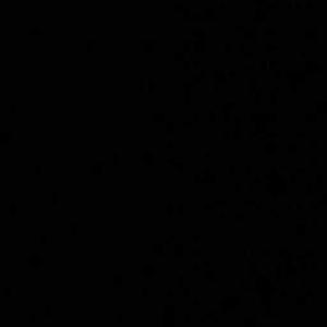 ScarletStatic logo