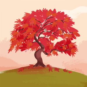 Kyawt May Khaing logo