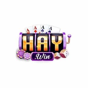 Haywin1 network