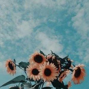 krishna gayathri logo