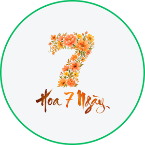 Shop Hoa 7 Ngày