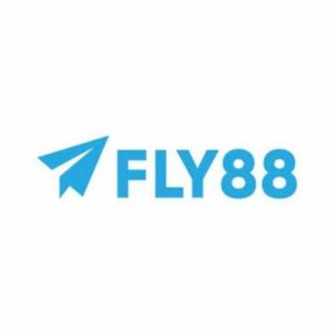 Fly88com Biz
