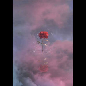 Aesthetic Timings logo