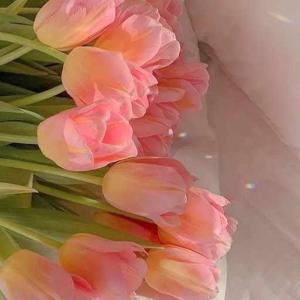 Tulika Choudhary logo