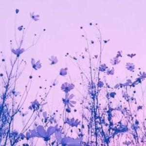 Riddhimaa Rampuria logo