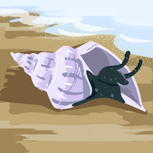 Vaishnavi Boosa logo