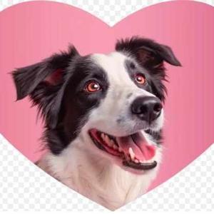 Jacquelyn Rillones Ferro logo