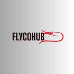 Flycohub logo