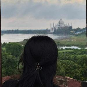 Priyani Agrawal logo