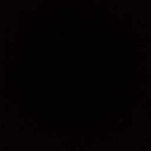 Anuradha Chouhan logo