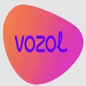 Vozol Store logo