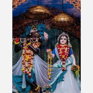 Hansika Pushadapu logo