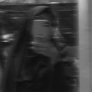 Tasfia Binte Shamim logo