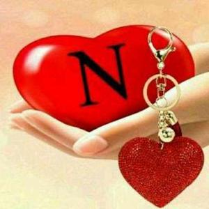 Naina Goyal logo