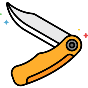 Segnali Numerici logo