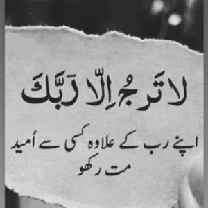 خان حفصہ logo