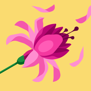 Aayushi Singh logo