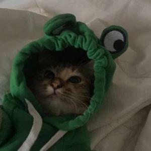 siti nur hafizuraina logo