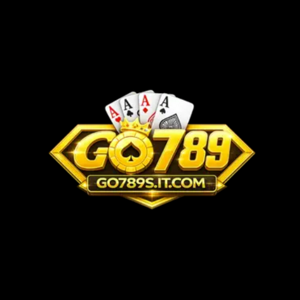 Go789s it com logo