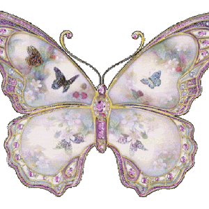 Anuradha shekhawat logo