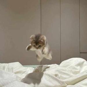 Sucharitha Sridharan logo