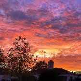 Waseelah Ansari logo