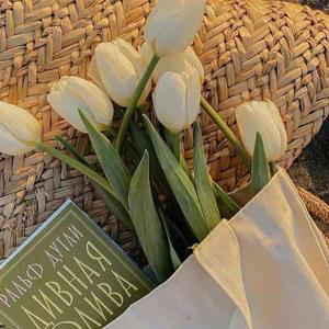 Shahana Sultana logo