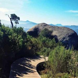 Lindane Madonko logo