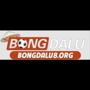 Bongda lu logo