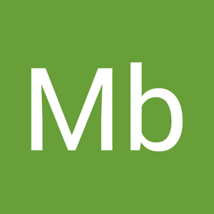 Mb Globe logo