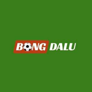 BONGDALU logo