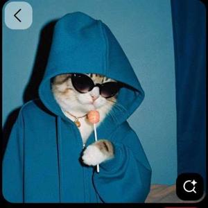 Shrutika Sonawane logo