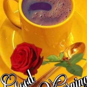 NAGENDRA PAL SINGH logo