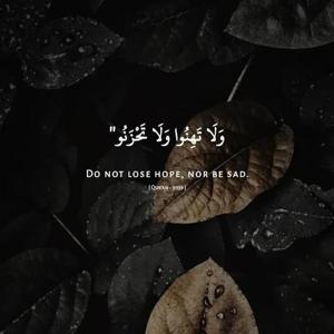 fathima rafeeda logo