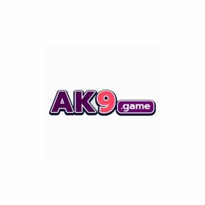 ak9 game logo